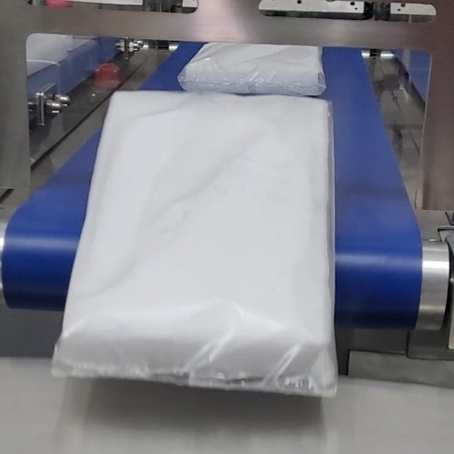 suchy lód plaster G20P w worku foliowym